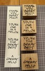 Stampin’ Up! Fruity Phrases Thank You Berry Much Melon Cherry Rubber Stamp Set — photo 1