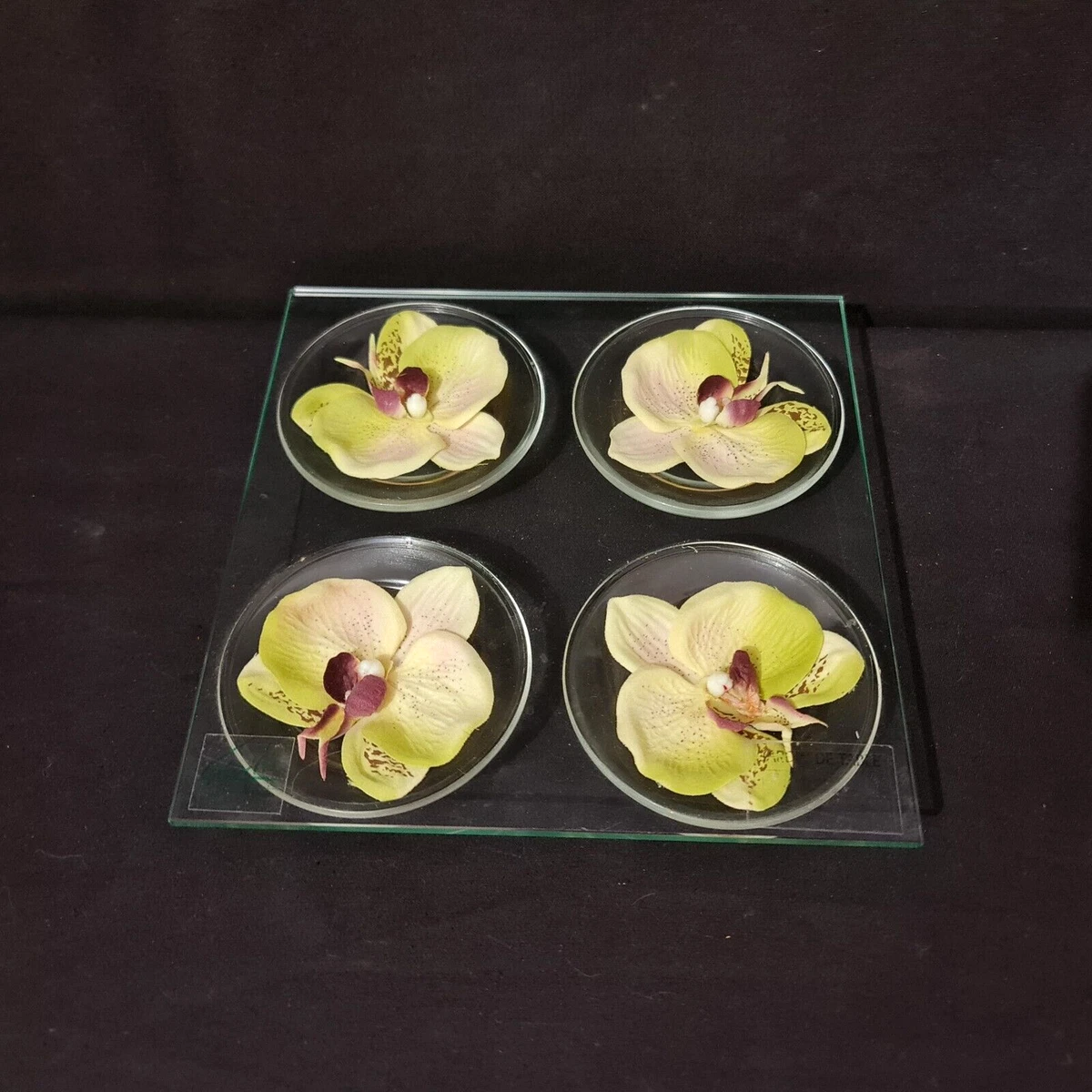 Dessous de verre / Dessous de plat en liège blanc Optic