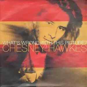 Chesney Hawkes Whats Wrong With This Picture Vinyl Single 12inch NEAR MINT