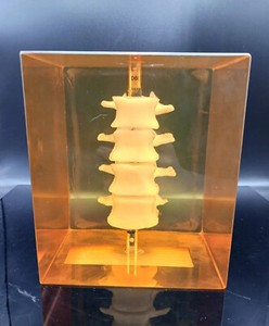 Hologic DPA/QDR-1 Anthropomorphic Spine Phantom