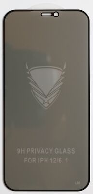 Apple iPhone 12 Pro Privacy Antispy Panzerfolie Displayschutzglas 9H Hülle Tempe
