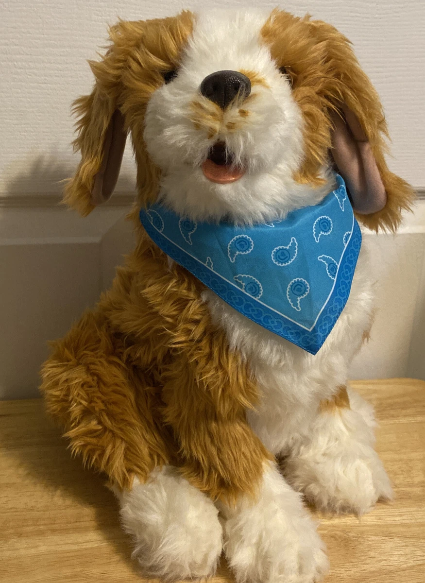 Ageless innovation cheap companion pets