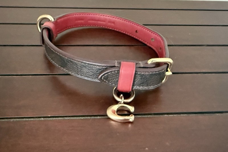 Coach Collar In Signature Coated Canvas & Smooth Leather With Iconic C Size Amal