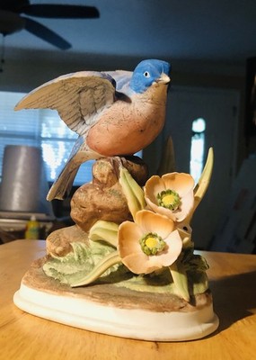Bluebird 