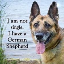 German Shepherd refrigerator magnet 3 1/2
