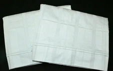 FrontGate Set of 2 Variegated Stripe Soft Pale Blue Cotton Euro Pillow Shams EUC