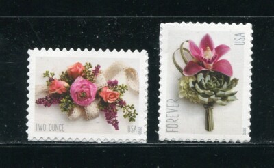 5457-5458 Boutonniere, Corsage Forever and Tw Ounce Stamps 5457-5458 Boutonniere, Corsage Forever and Tw Ounce Stamps