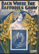 1924 Walter Donaldson Sheet Music - Back Where the Daffodils Grow