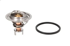 Thermostat Infiniti J30