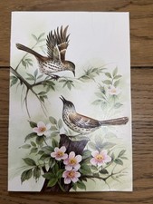 VTG A Sunshine Card Birds Embossed Made In USA Nature Country READ