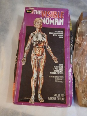 Vintage 1977 Revell The Visible Woman  Scale Model Kit H-901