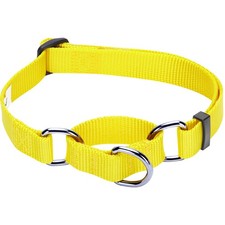 Blueberry Pet Martingale Dog Collar - Blazing Yellow, Small, Heavy Duty Nylon