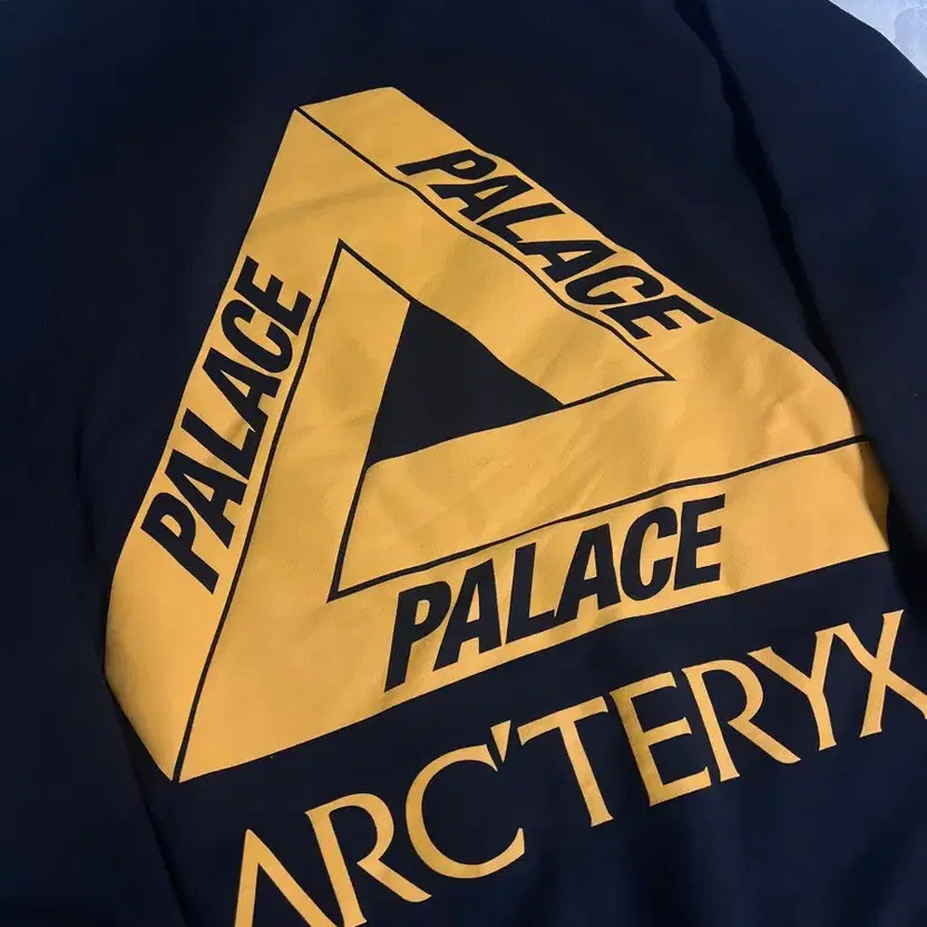 Arc'teryx Palas Hood - Men's Stylish Outdoor Hoodie thumbnail 3