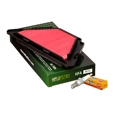 Filtro Aria HIFLOFILTRO HFA4615 - Ricambio Per Moto E Veicoli - Foto 4