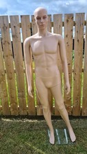 Full Body Male Mannequin With Glass Stand Great Condition Clothes Retail Display