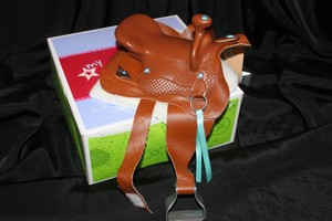 Turquoise Saddle Blanket · Showtime Champion · Online ...