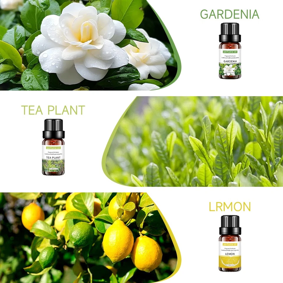 32 tipos de aceite esencial 100 % puro aceite de aromaterapia natural grado terapéutico 10 ml Foto 3 de 4