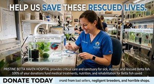 Betta Vet Care Pack 2