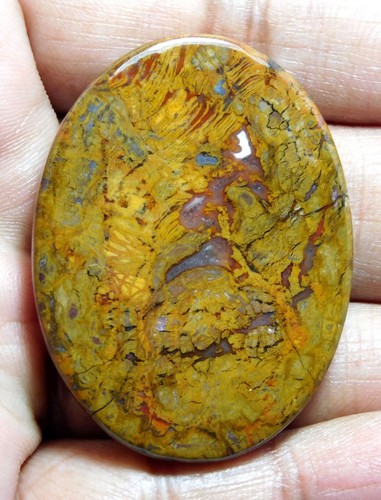 100 % natürlicher erstaunlicher Fruchtjaspis oval Cabochon loser Edelstein 45 x 33 x 6 mm 78,40 kt - Bild 8 von 8