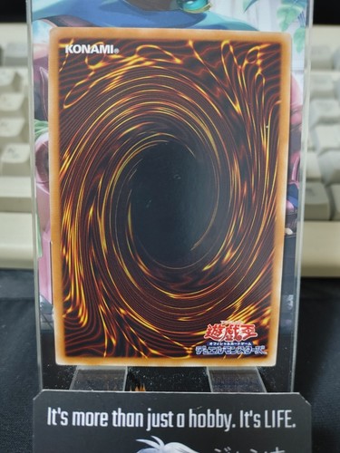 Dark Paladin 15AX-JPY38 Yu-Gi-Oh Secret Rare Yugioh OCG JAPAN - Picture 6 of 8