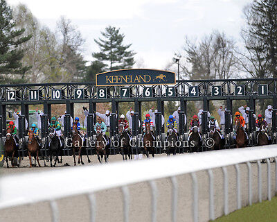 Keeneland Starting Gate 1 Photo 8 X 10 24 X 30 Ebay