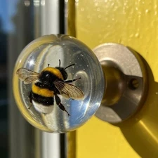 Vintage Round Resin Doorknob - Realistic bee and floral design