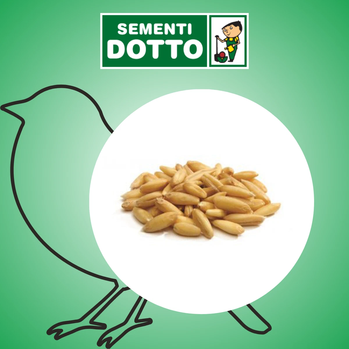 25 Kg Di Semi Di Girasole Sgusciati, Cibo Per Uccelli, Uccelli - Foto 6