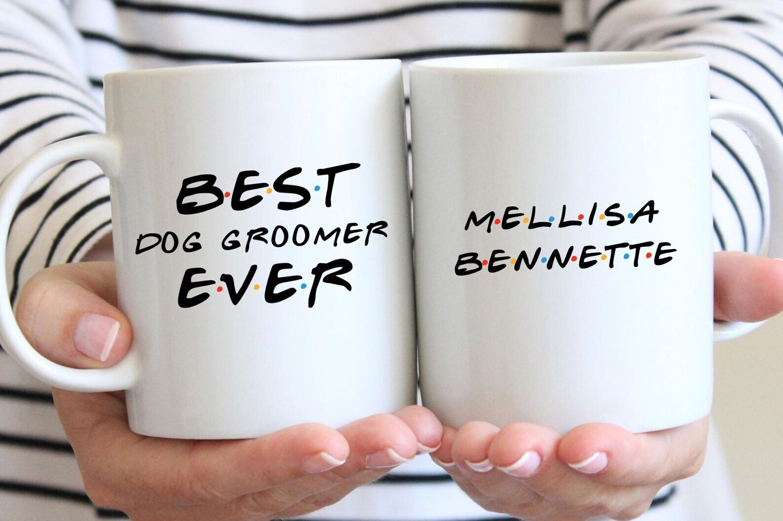 Best Dog Groomer Ever Mug Dog Groomer Gift Ideas For Birthday Christmas