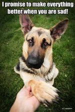 German shepherd  refrigerator magnet 2 1/2x 3 1/2"