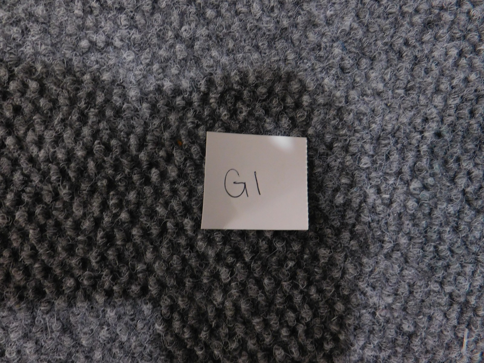 Bild 12 von 12