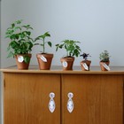 Bild 7 von 12