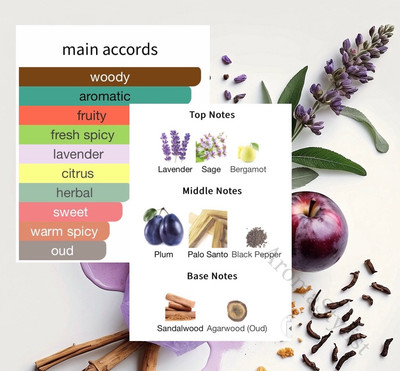 イニシオ　パラゴン　Initio paragon initio-paragon.jpg