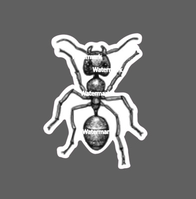 Fire Ant Sticker Black Gray Waterproof NEW