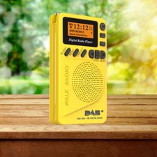 Portable Mini DAB FM Digital Radio Personal Pocket MP3 Player LED Screen Clock