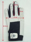 Bild 11 von 11
