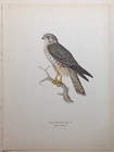 Foto 3 di 3