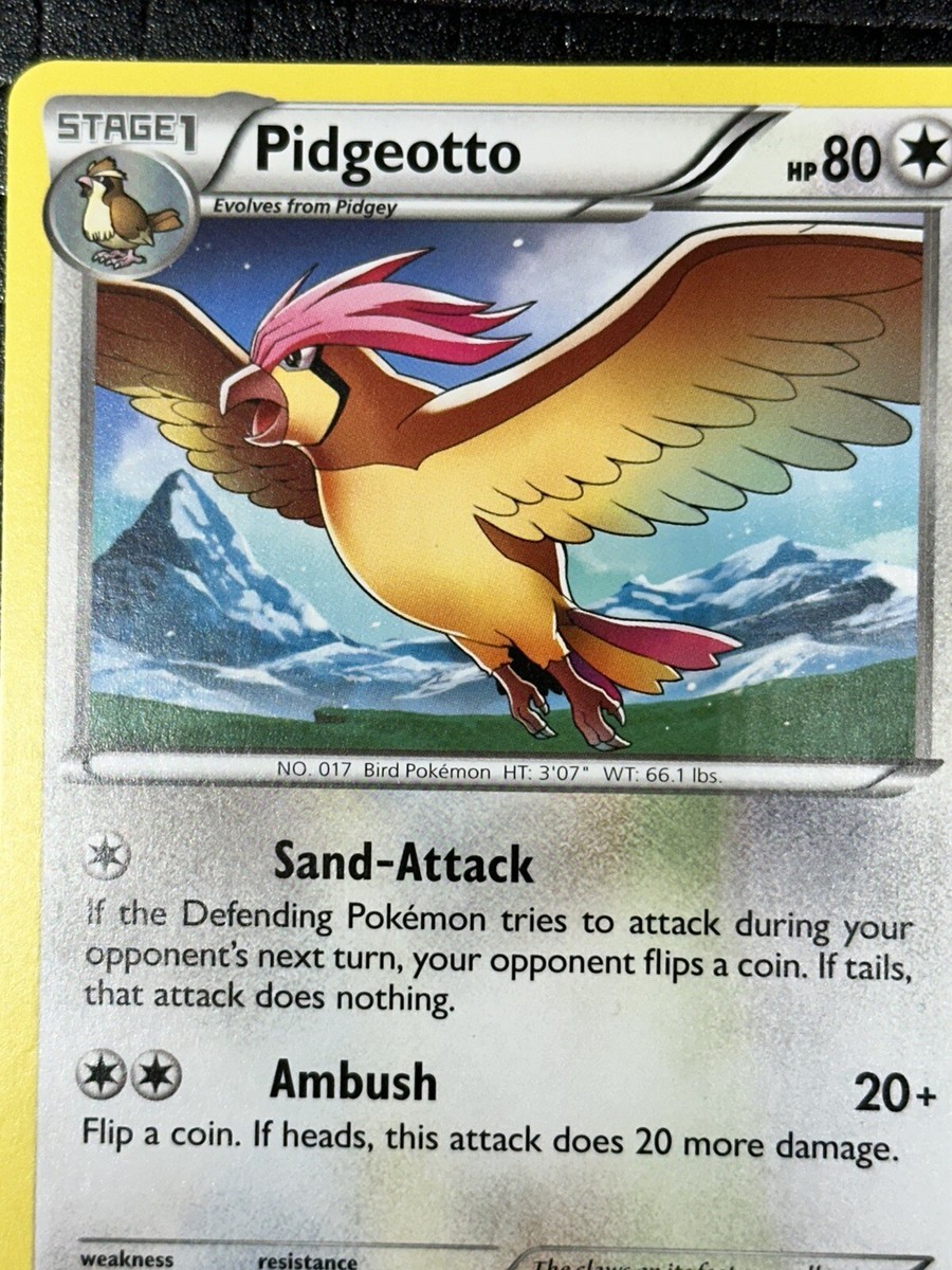 ポケモンカード 旧裏 ピジョン PSA10 ポケカ 第1弾 PIDGEOTTO ポケモンカード 旧裏 メタモン PSA10 ポケカ 第3弾 DITTO - メルカリ