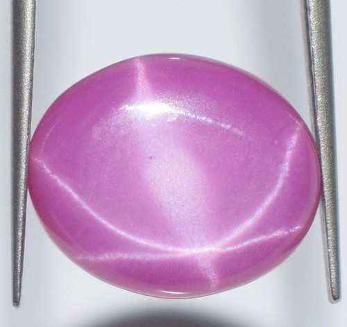 Natural Pink Star Ruby 7.60 Carat Oval Cabochon Loose Gemstone Certified E1338 - Picture 5 of 8