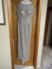 Mother Of Bride/Groom Lace Appliqu  Grey/Silver Dress size 10