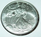 1999 American Silver Eagle 1 troy oz .999 Fine Silver Dollar Coin
