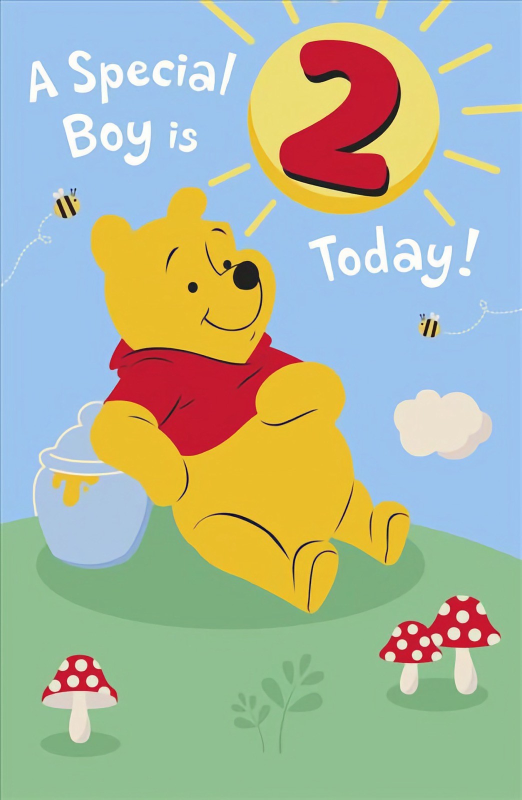 Winnie The Pooh 2nd Birthday Card Cute Boys Son Grandson Brother Nephew Friend