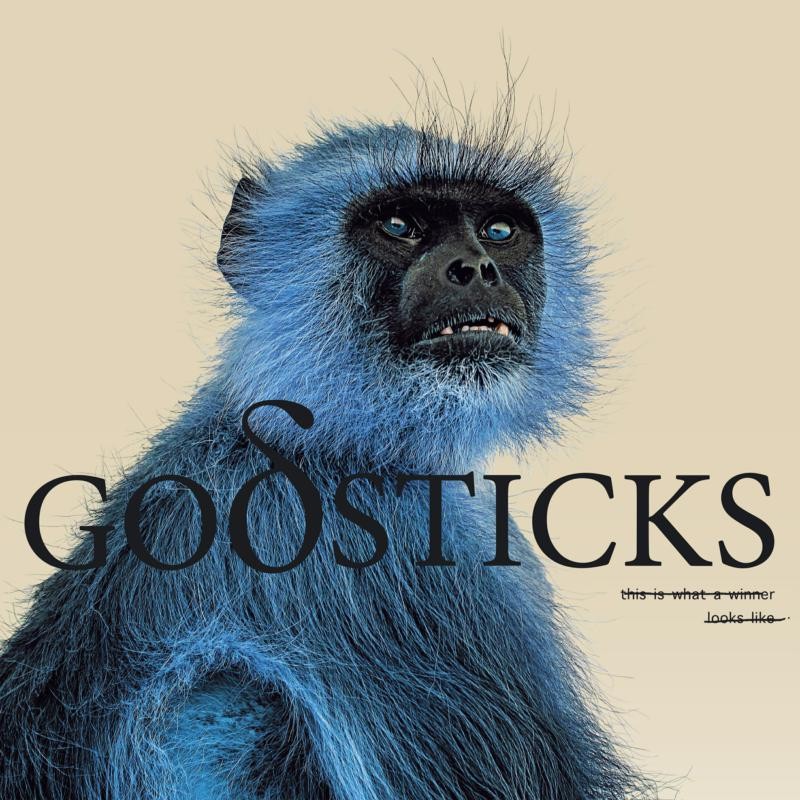 Godsticks This Is What A Winner Looks Like CD NEW