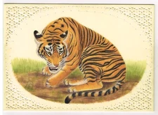 Hand Miniature Painting Of Tiger Wildlife Nature Art On Synthetic Plate 7x5 Inch