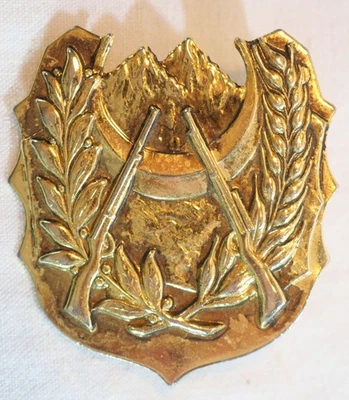 ALGERIE Insigne de coiffure armée de terre algérienne BOU25PAR005 - Photo 1/4
