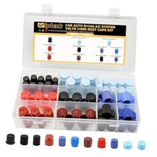 100PCS Car AC Dust Caps, R12 R134a High & Low Pressure Port Caps | 11 Size,