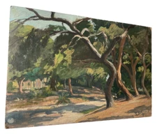 LARGE EUCALYPTUS TREE IN THE GARDEN OF THE CASTLE IN NICE - Impressionist Oil