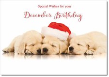 Doodlecards December Birthday Christmas Card Christmas Golden Retriever Puppies