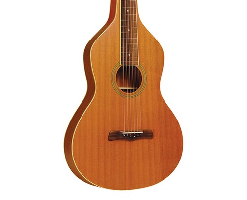 Gold Tone GT-WB Weissenborn - B-Stock