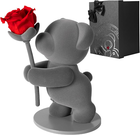 Imagen 12 de 12