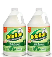 1 Gal. Eucalyptus Disinfectant Odor Eliminator, Fabric Freshener (2-Pack)